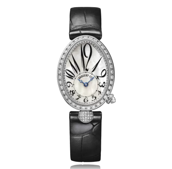 Best Reine De Naples Ladies