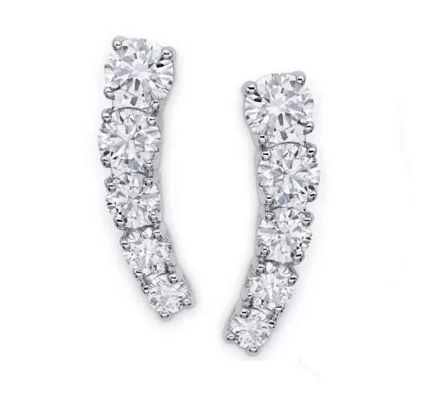 Fashion Classics Earrings