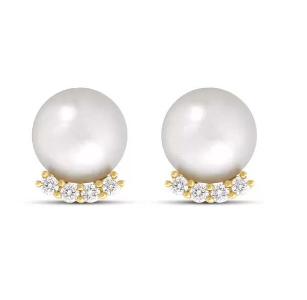 New Classics Earrings