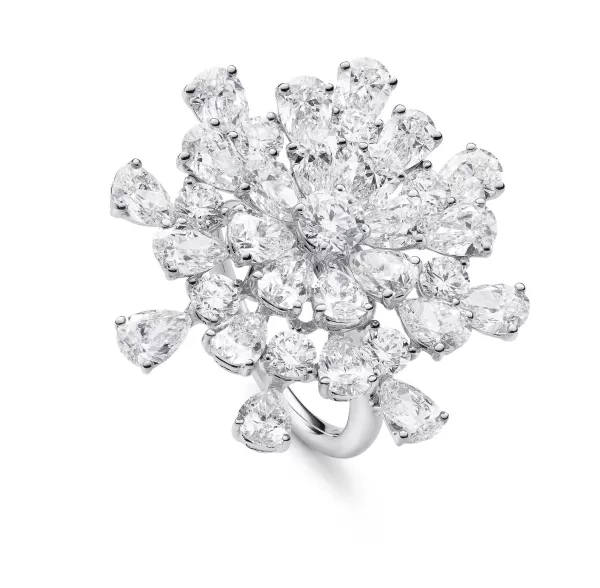 Store Classics Rings