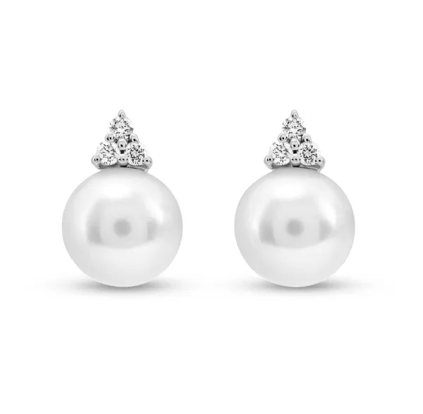 Hot Classics Earrings