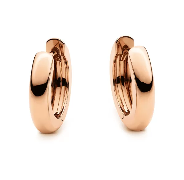 Hot Classics Earrings