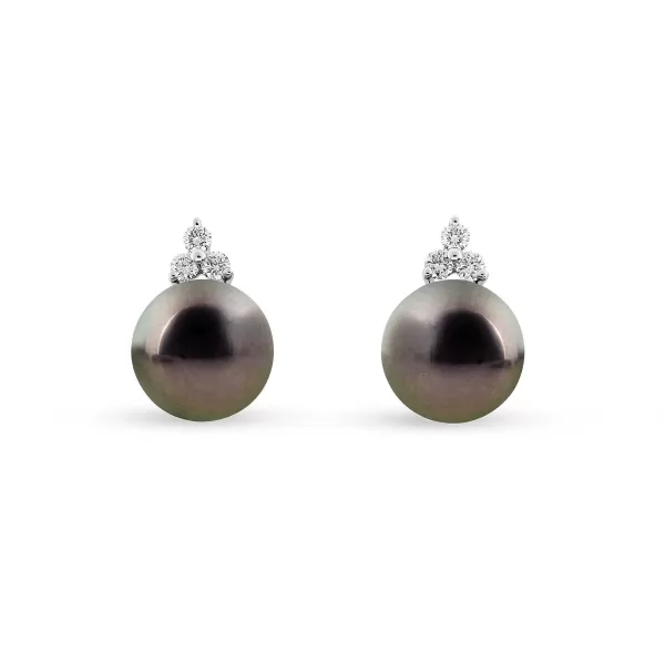 Discount Classics Earrings