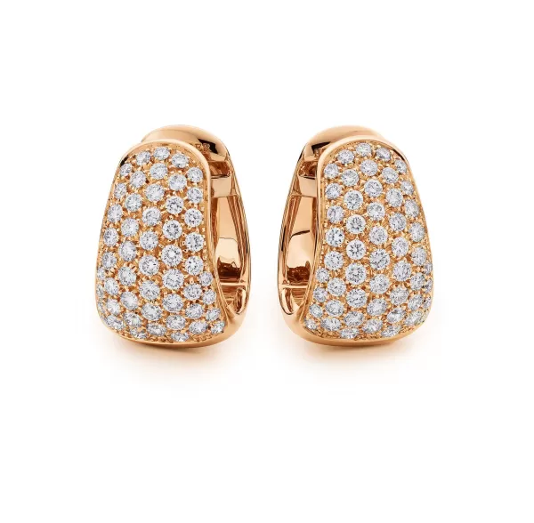 Hot Classics Earrings