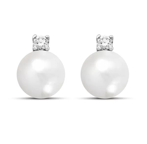Clearance Classics Earrings