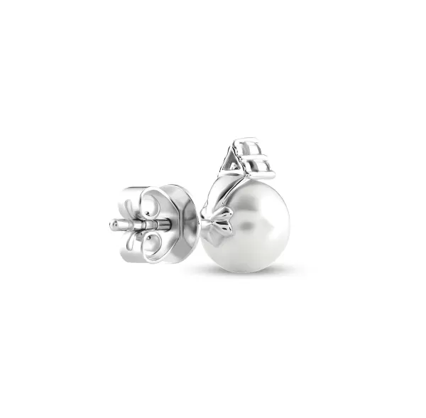 Hot Classics Earrings