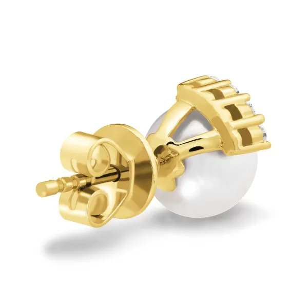 New Classics Earrings
