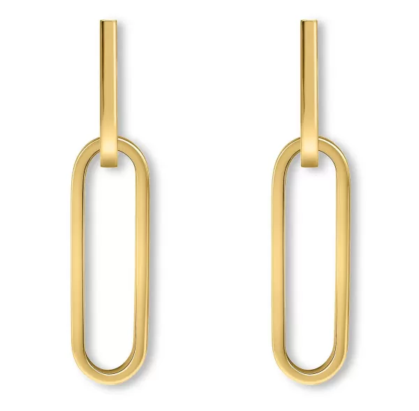 Discount Link Earrings