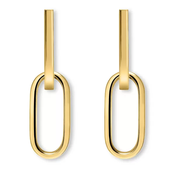 Clearance Link Earrings
