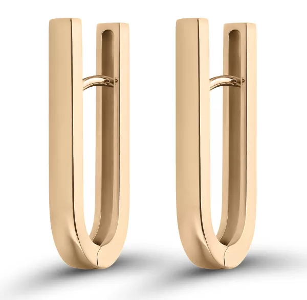 Outlet Link Earrings
