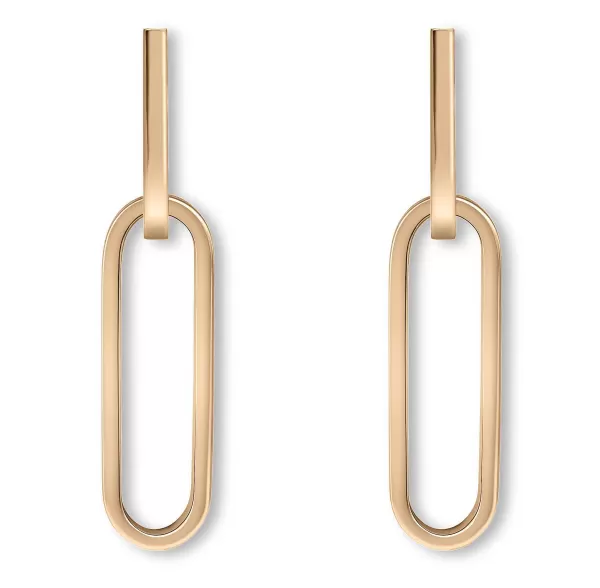 Shop Link Earrings