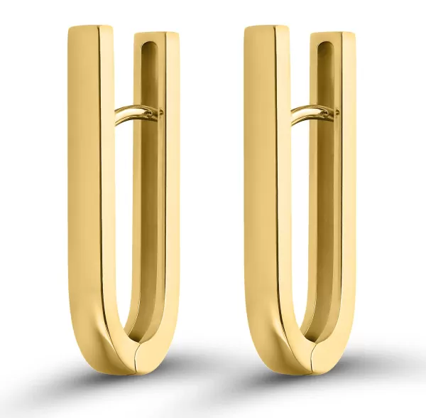 Discount Link Earrings