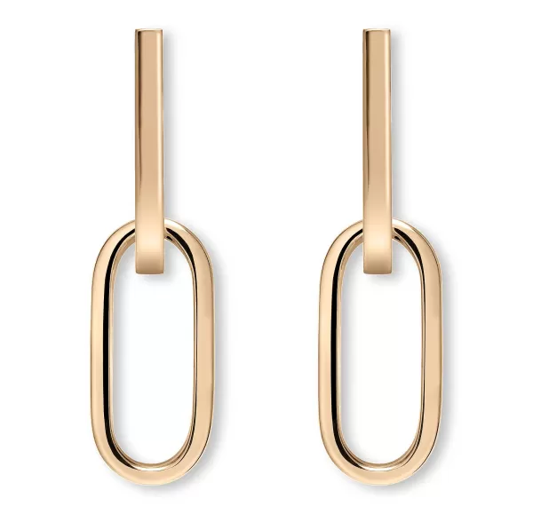 Hot Link Earrings