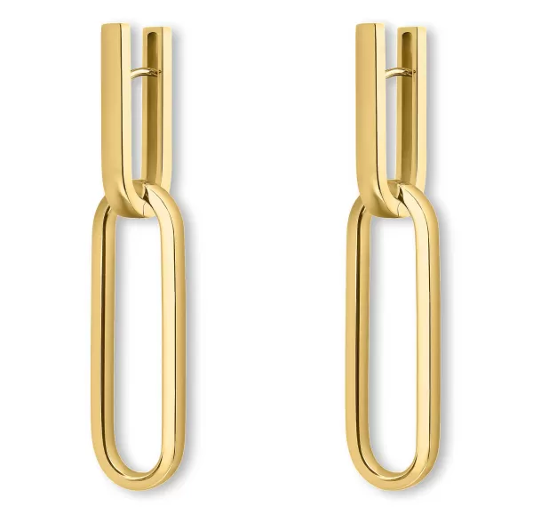 Discount Link Earrings