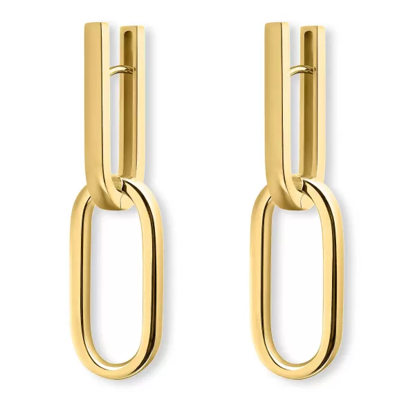 Clearance Link Earrings