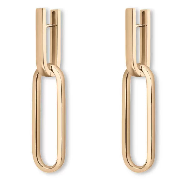 Shop Link Earrings