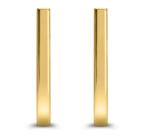 Discount Link Earrings