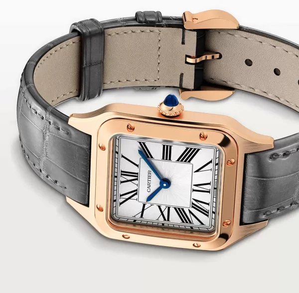 Flash Sale Santos Dumont Unisex